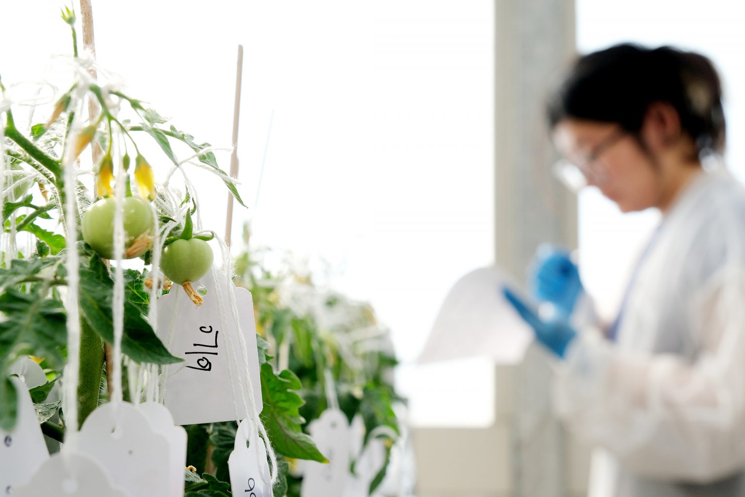 Investigadora al laboratori.