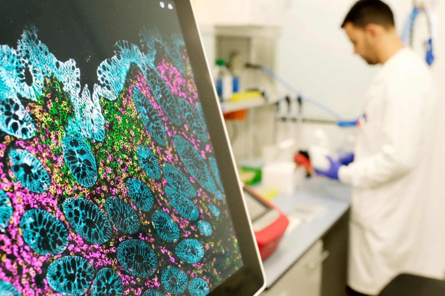 IRB Barcelona. Vistes del laboratori.